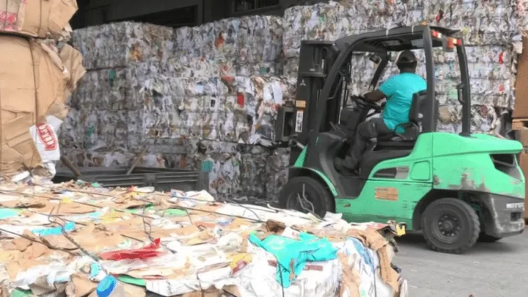 La Martinique : Révolution ou simple illusion dans le recyclage ?