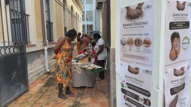 La Journée Végétale : Un Masque Sur la Réalité Économique