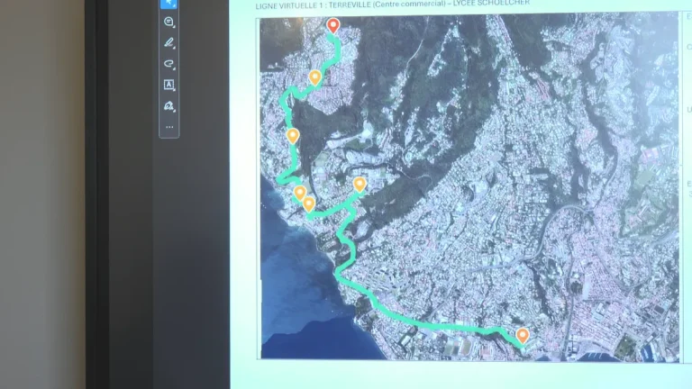 Crise des Transports à Schoelcher : Une Situation Intenable