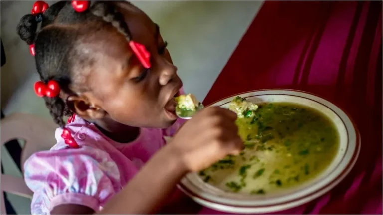 Urgence humanitaire en Haïti : le Programme Alimentaire Mondial appelle à l&rsquo;aide