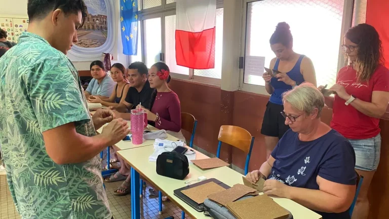 Une Alternative Écologique au Plastique : Vers un Avenir Durable ?