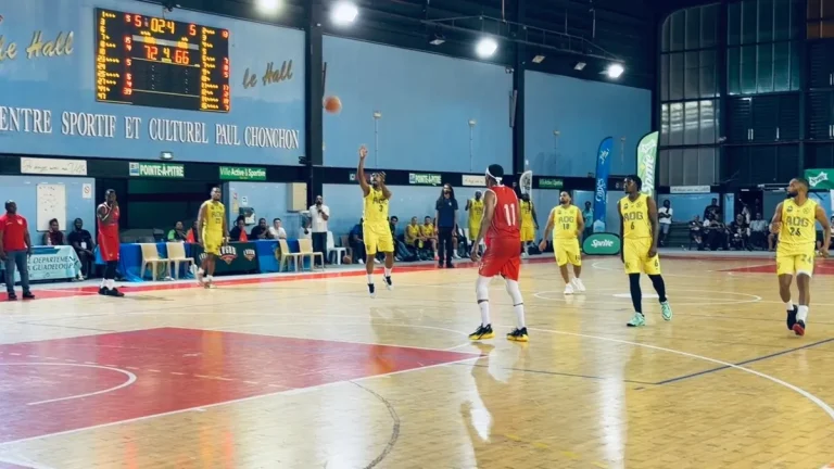 Retour sur les Playoffs : Une Résilience à l&rsquo;Épreuve