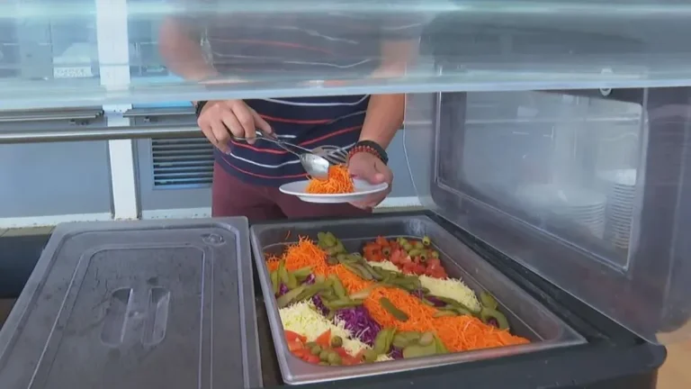 Cantines scolaires gratuites : tensions entre politiques locales et contraintes budgétaires