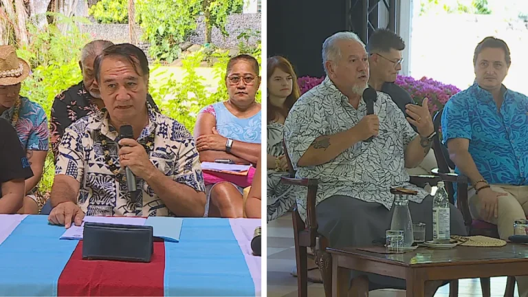 Tavini Huiraatira : Entre critiques et alliances