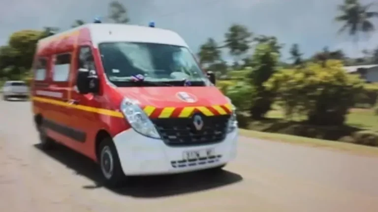 Un enfant de 2 ans mortellement attaqué par des chiens à Vairao, Polynésie française