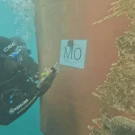 Des policiers des Kiribati en immersion pour renforcer la sécurité au fenua.