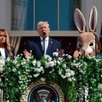 Guerre en Iran : l'ultimatum absurde de Trump, reflet des échecs des dirigeants RN et de leur folie locale