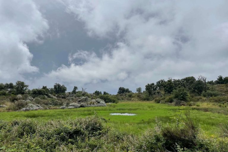 Parc naturel de l’Albera entre Pyrénées et Méditerranée, paysage naturel protégé au sud de l’Empordà