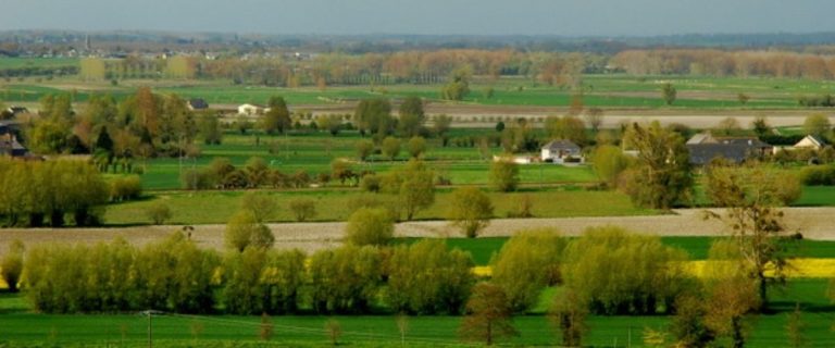 Quand le climat se simplifie : un diagnostic à la sauce gouvernementale