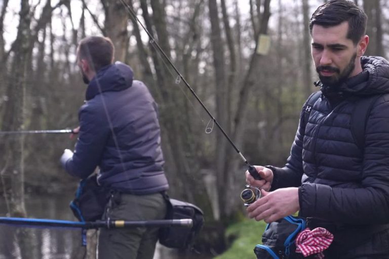 La Pêche à la Truite : Entre Tradition et Incohérence Écologique