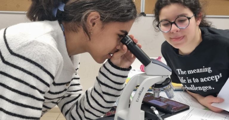 Quand la science devient une promesse électorale : le collège Beatus à Sélestat