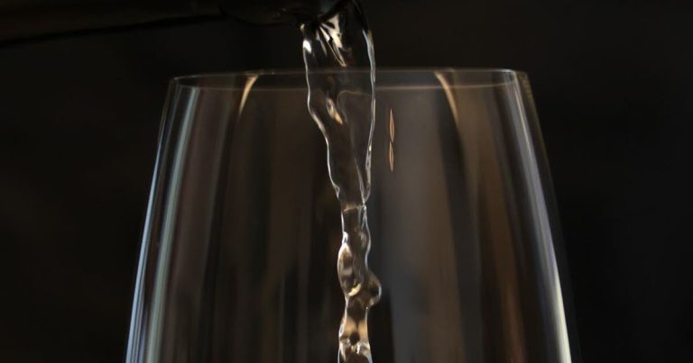 L&rsquo;Appétence des Jeunes pour le Muscat : Une Analyse Contemporaine