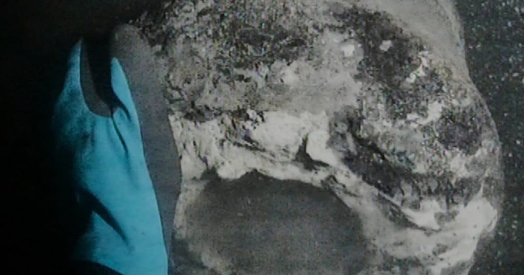 Danemark : 225 ans après, l'épave d'un navire de Nelson ressurgit, mais nos dirigeants préfèrent ignorer l'histoire !