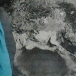 Danemark : 225 ans après, l'épave d'un navire de Nelson ressurgit, mais nos dirigeants préfèrent ignorer l'histoire !