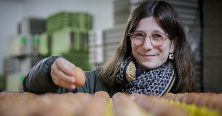 🥚 L’Œuf : Super-aliment ou Victime de son Succès ?