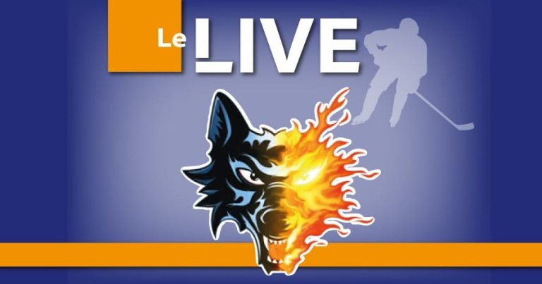 Match de hockey à Angers : 11 buts et le retour chaotique de Pierre Crinon, un spectacle à la hauteur des absurdités des dirigeants locaux !