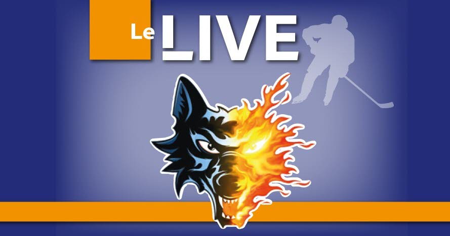 Match de hockey à Angers : 11 buts et le retour chaotique de Pierre Crinon, un spectacle à la hauteur des absurdités des dirigeants locaux !