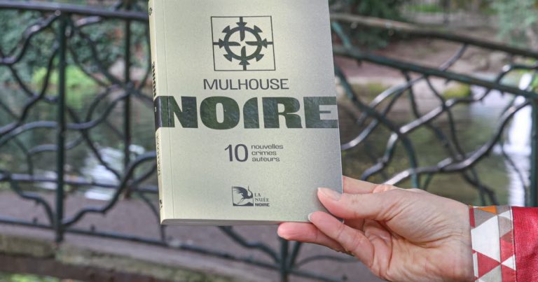Mulhouse : Quand la 'Mulhouse noire' révèle l'absurde des dirigeants RN et l'angoisse locale !