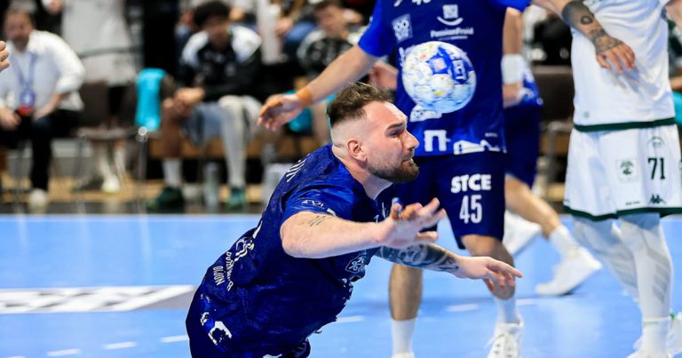 Handball : Le DMH s'effondre face à Limoges, reflet des dérives des dirigeants RN et de l'absurde local !