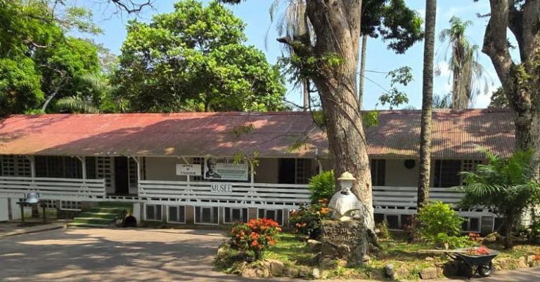 Quand l&rsquo;Histoire se Répète : La Maison Albert Schweitzer et les Maladies du Passé