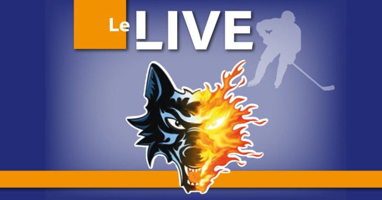 Les Brûleurs de Loups : Une Glace, des Ambitions et un Système qui Flanche