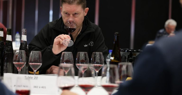 La Dégringolade des Médailles : Quand le Concours des Vins d’Alsace Perd de son Lustre