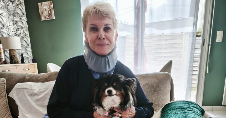 Un accident, un chien perdu : la mobilisation qui en dit long sur notre société