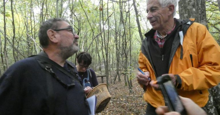 Quand le botaniste devient un héros au milieu du chaos