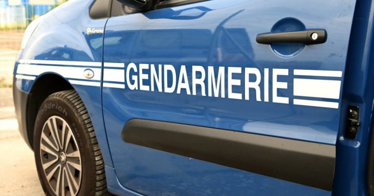 Vacances annulées : un passeport volé puis retrouvé… après un car-jacking