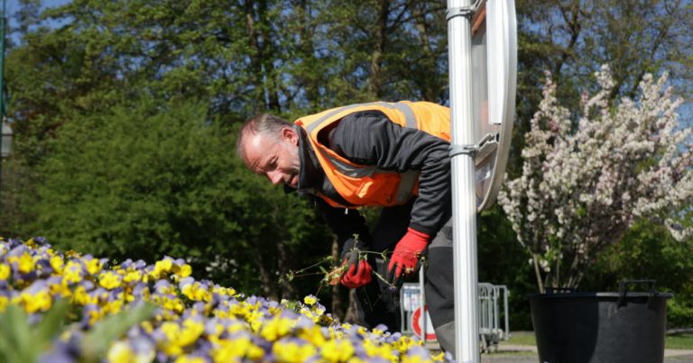 Molsheim : Comment les espaces verts s&rsquo;engagent pour l&rsquo;environnement avec des initiatives concrètes