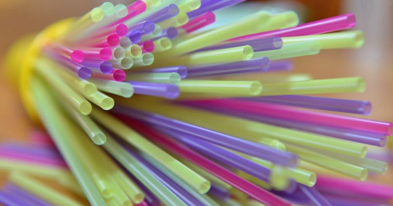 Un Français de 18 ans risque la prison à Singapour pour avoir léché une paille en plastique.