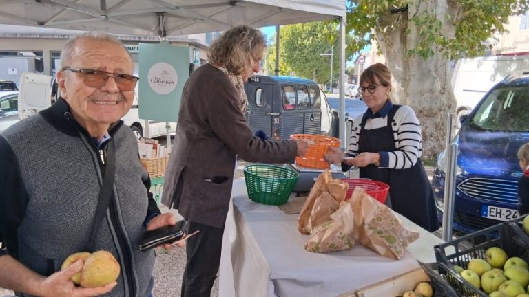 À Bollène, le marché Pasteur revient : un carnaval de conservateurs et d'absurdités locales !