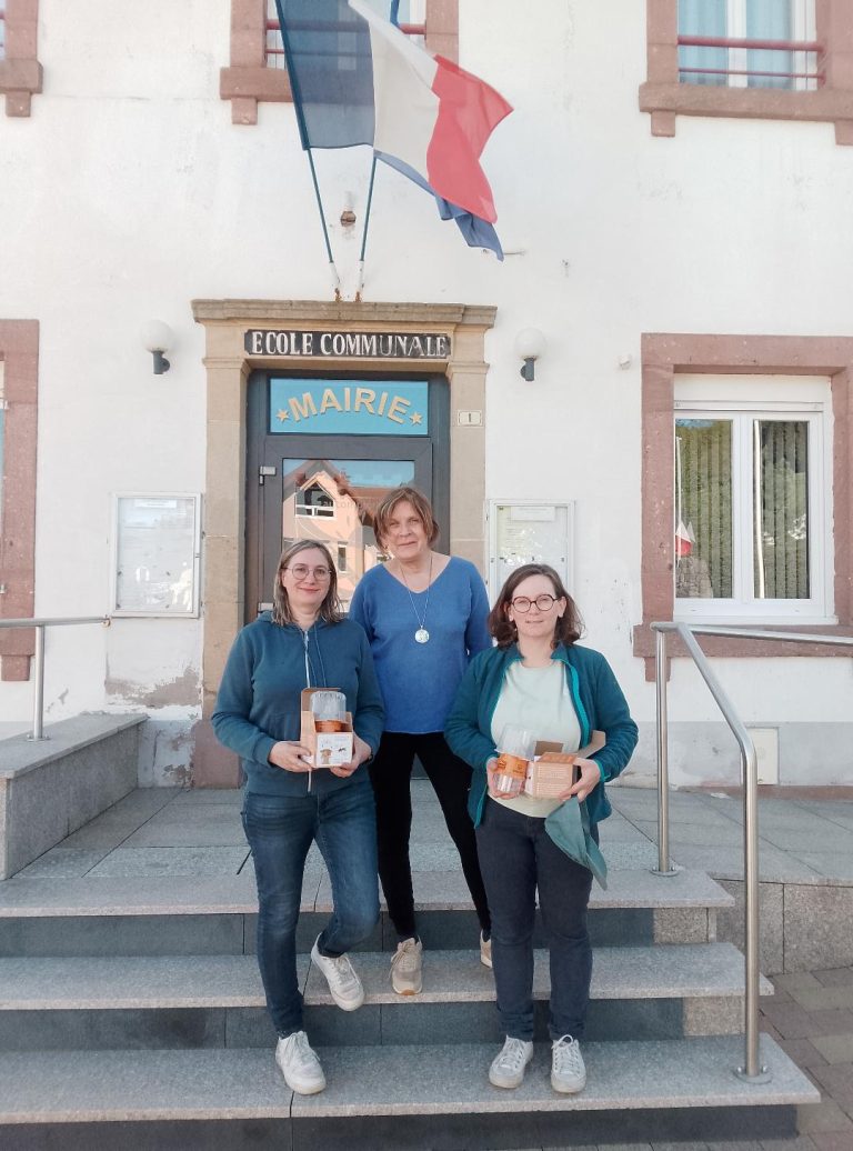 Frelons asiatiques : Faucompierre s&rsquo;engage dans le piégeage printanier, quels enjeux ?