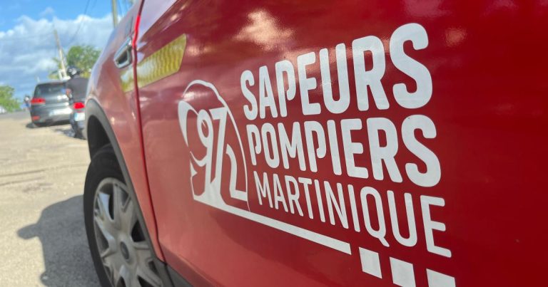 Un policier se blesse accidentellement avec sa grenade lacrymogène : quelles conséquences ?