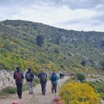Entre étoiles et absurdités : le festival d'Aubagne, miroir des dérives des villes RN !