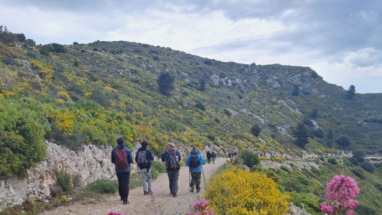 Entre étoiles et absurdités : le festival d'Aubagne, miroir des dérives des villes RN !