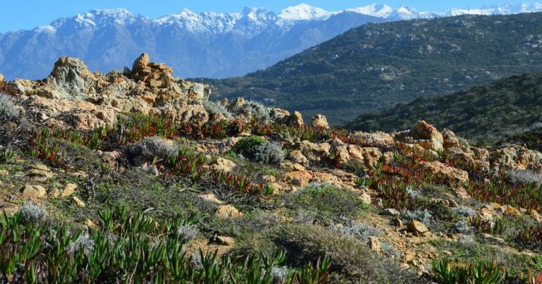 Corse ou Alpes : Quelle Destination pour Vos Prochaines Vacances de Randonnée ?
