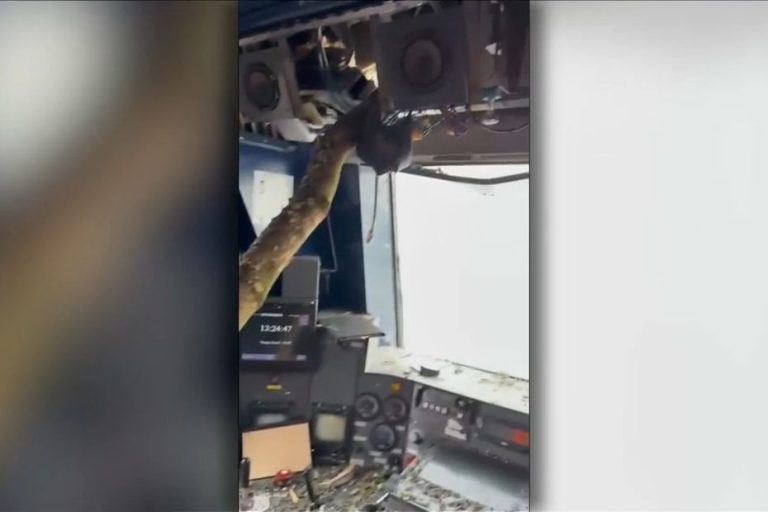 RER C : deux trains heurtent des arbres déracinés, des passagers en état de choc