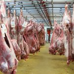 Le gestionnaire du Marché de Rungis condamné pour loyers impayés