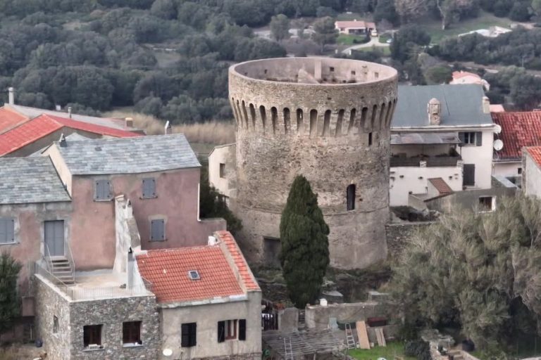 Tentative de meurtre à Tomino : trois personnes en garde à vue