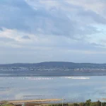 Tunis déclare la guerre aux insectes : quand les dirigeants conservateurs s'attaquent à l'absurde !