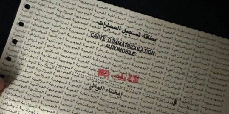 Les APC abandonnent vos cartes grises : les élus d'extrême droite, champions de l'absurde ?