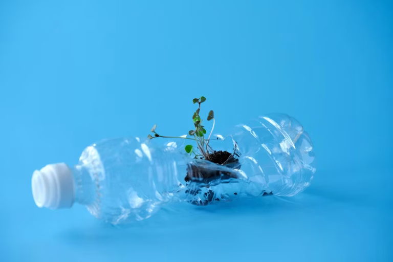 Les bioplastiques : un mot, plusieurs définitions
