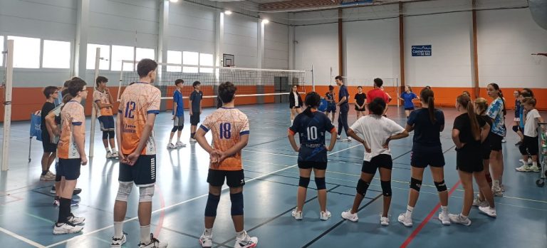 Montpellier : Stage de Volley ou Manœuvre Politique ?