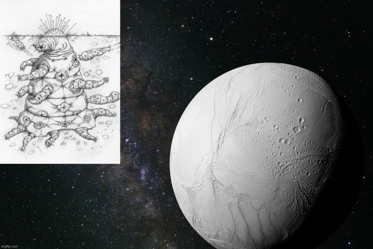 Une lune de 500 km pourrait-elle abriter la vie extraterrestre ? Découvrons son potentiel.
