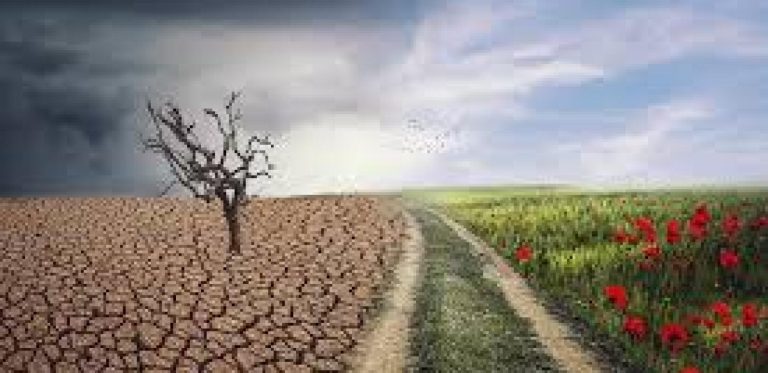 Comment la transition environnementale booste la performance économique : un paradoxe à explorer