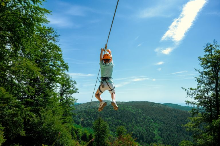 25 ans de Parc Alsace Aventure : un anniversaire qui fait grincer des dents