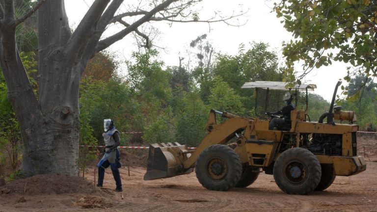Sénégal : reprise du programme de déminage en Casamance pour sécuriser la région.