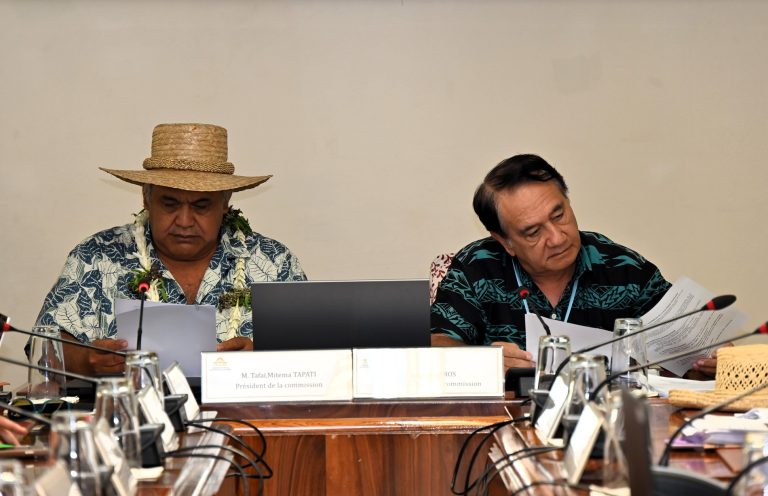 Réunion de la commission des institutions sur les relations internationales et communales.