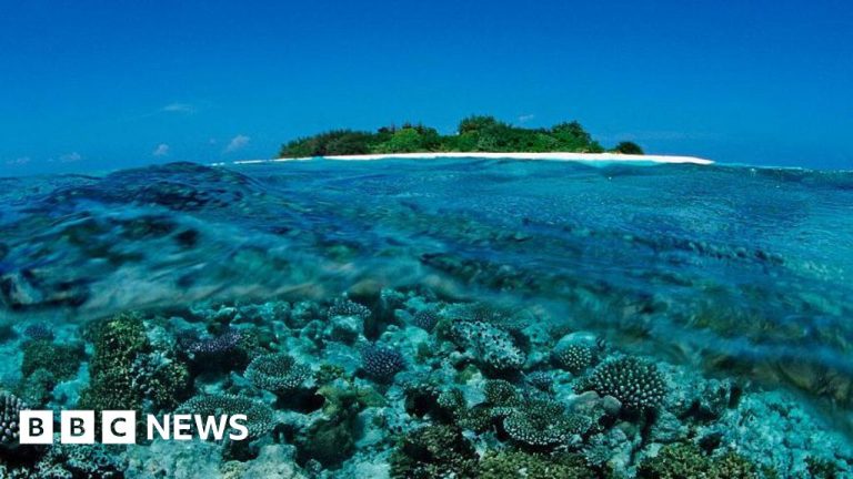 Cinq Italiens décèdent lors d&rsquo;une plongée dans une grotte aux Maldives